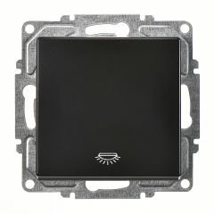 Günsan Visage Metalik Siyah Klipsli Liht Anahtar - 10AX 250V