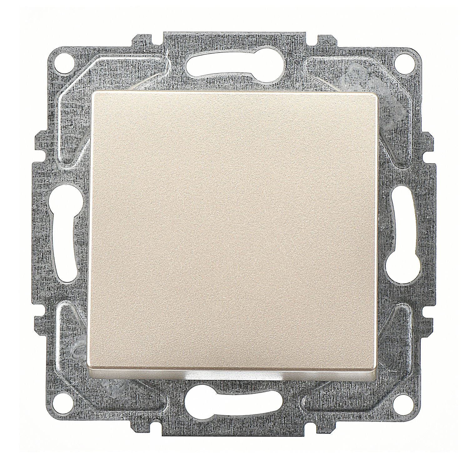 Günsan Eqona Metalik Bej Vidalı Anahtar - 10AX 250V