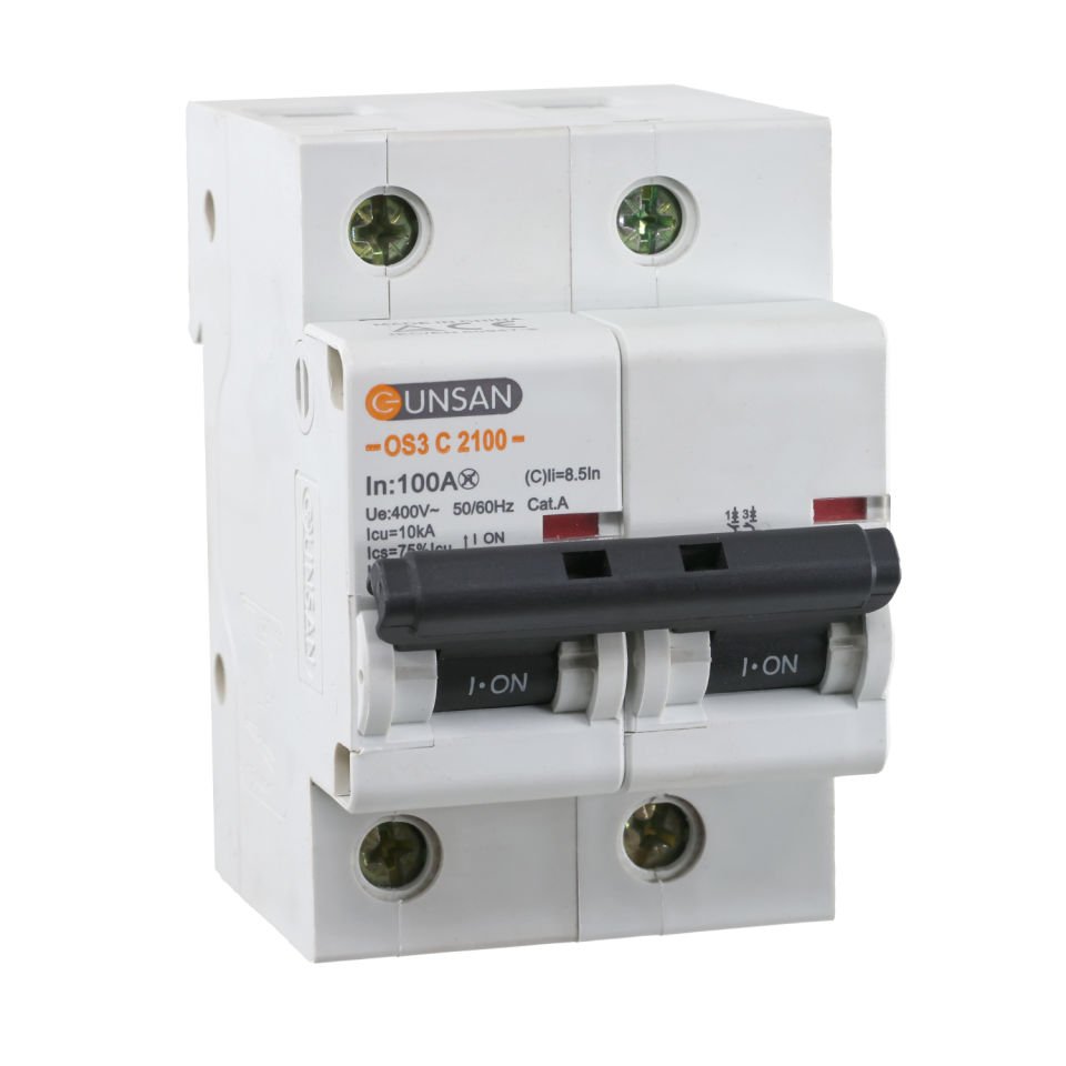 Günsan Valta Otomatik Sigorta 2P 10kA C Tip 100A İki kutuplu