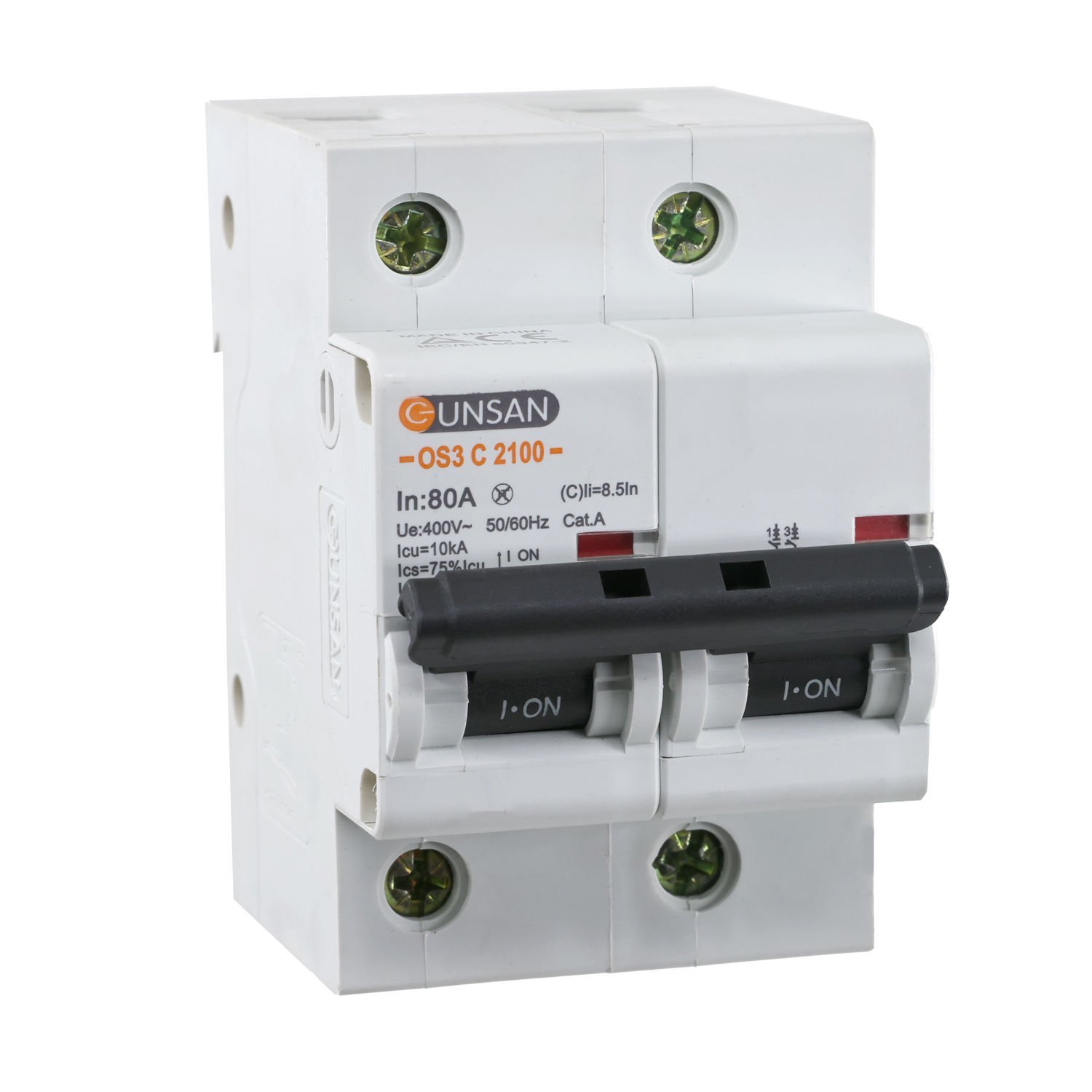 Günsan Valta Otomatik Sigorta 2P 10kA C Tip 80A İki kutuplu