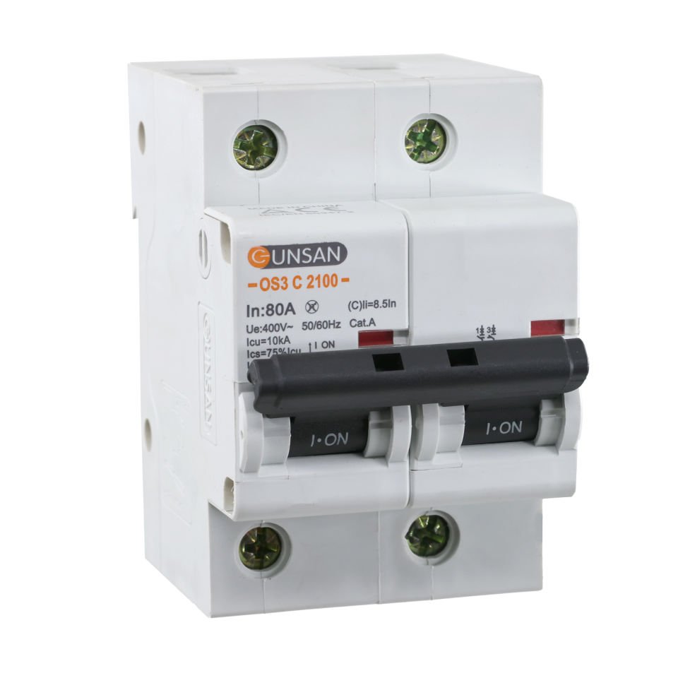 Günsan Valta Otomatik Sigorta 2P 10kA C Tip 80A İki kutuplu