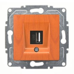 Günsan Visage Meşe USB Data Prizi