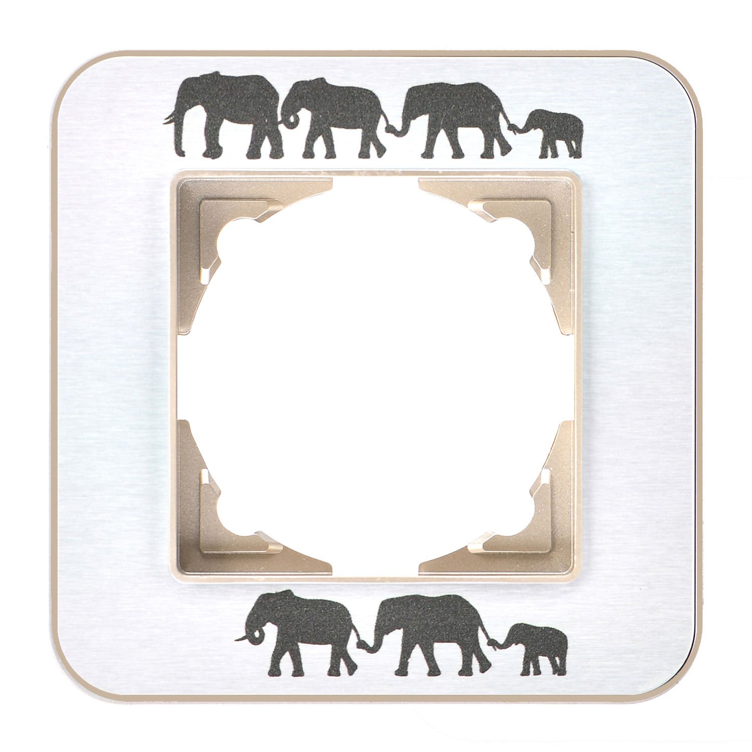 Günsan Radius Metalik Bej & Silver Gray Tekli Çerçeve